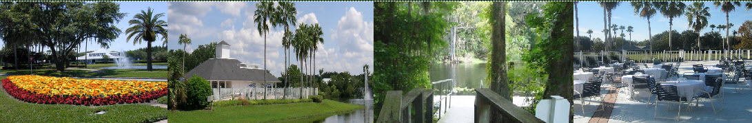 Four Tampa Palms Scenes